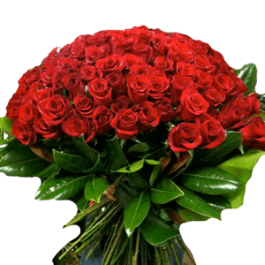 Kırmızı Gül Buketi