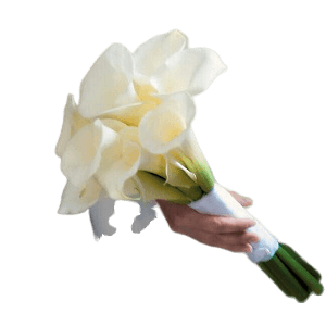 Gala Çiçegi Gelin El Buketi