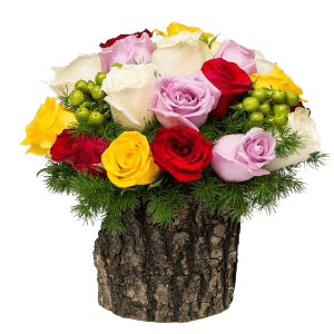 Renkli Gül Aranjman